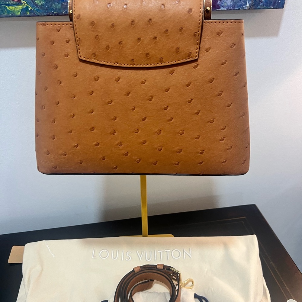 Louis Vuitton Capucine small Exotic ostrich bag NWT pristine - Picture 10 of 13